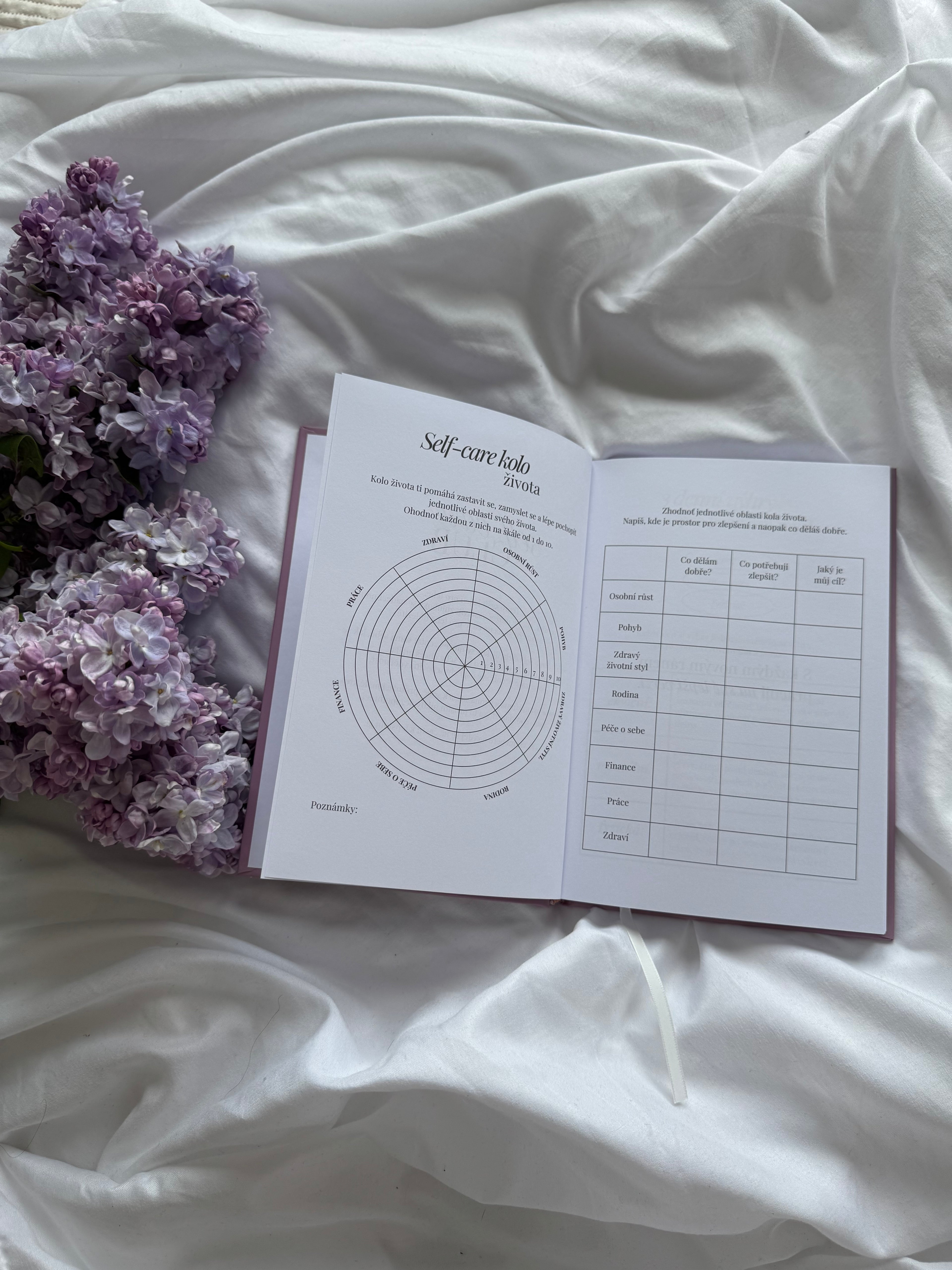 Self-care daily journal